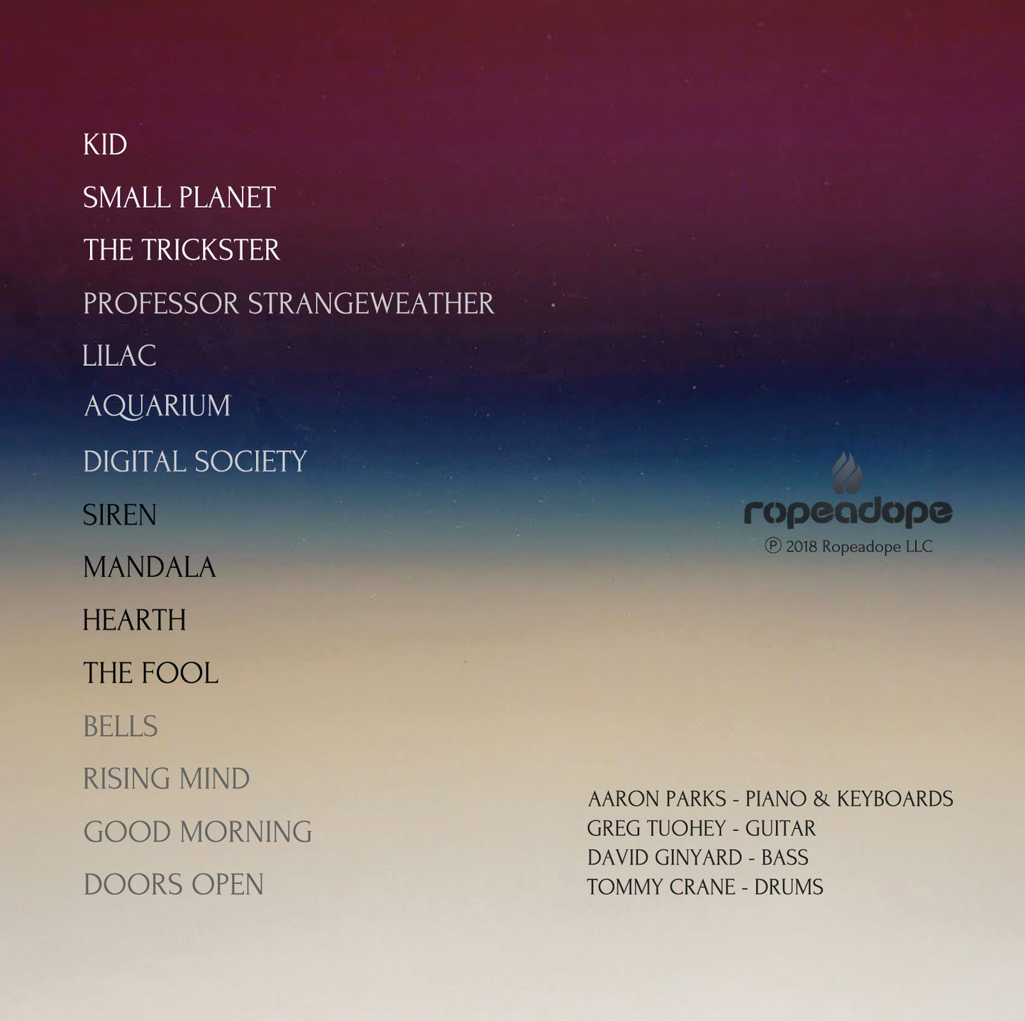 Aaron Parks - Little Big | Double Vinyl LP