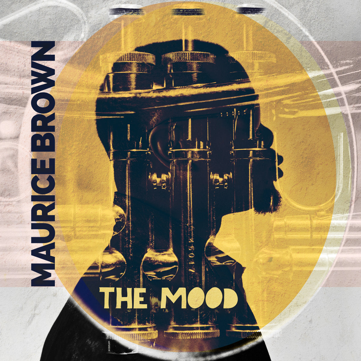 Maurice Brown - The Mood | CD