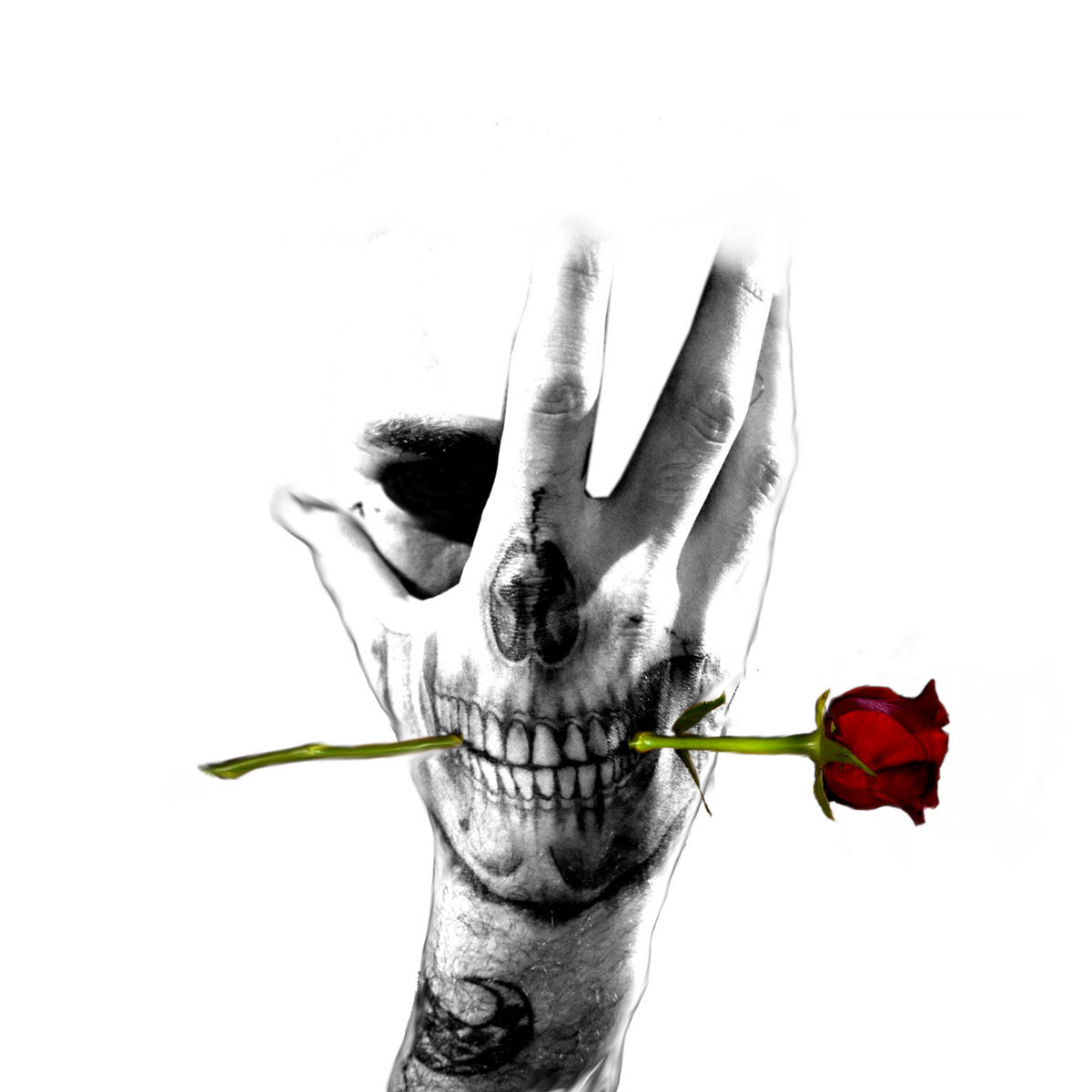 Grayson Brockamp and the New Orleans Wildlife Band |  A Dream Or A Nightmare - CD