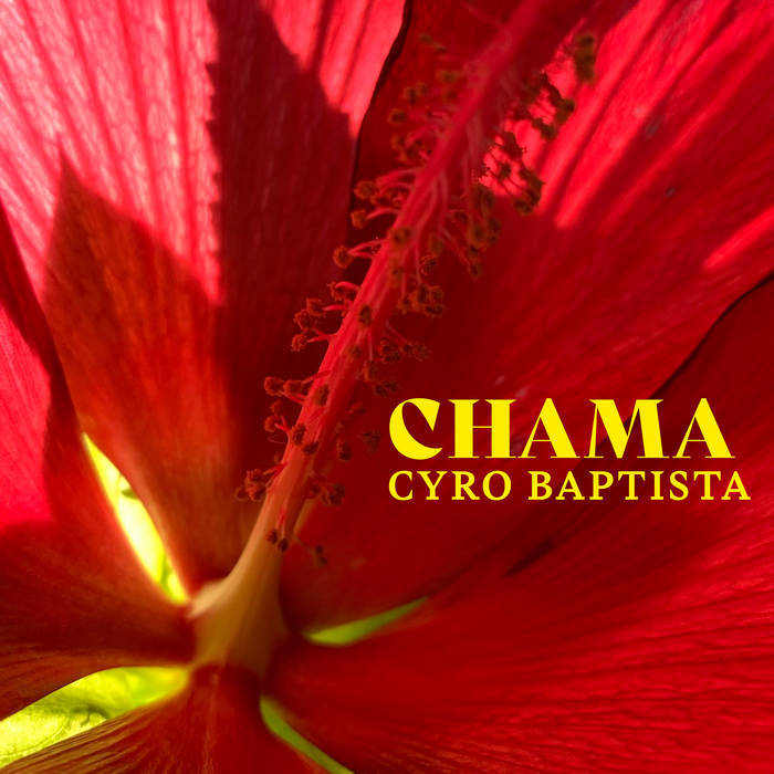 Chama CD by Cyro Baptista