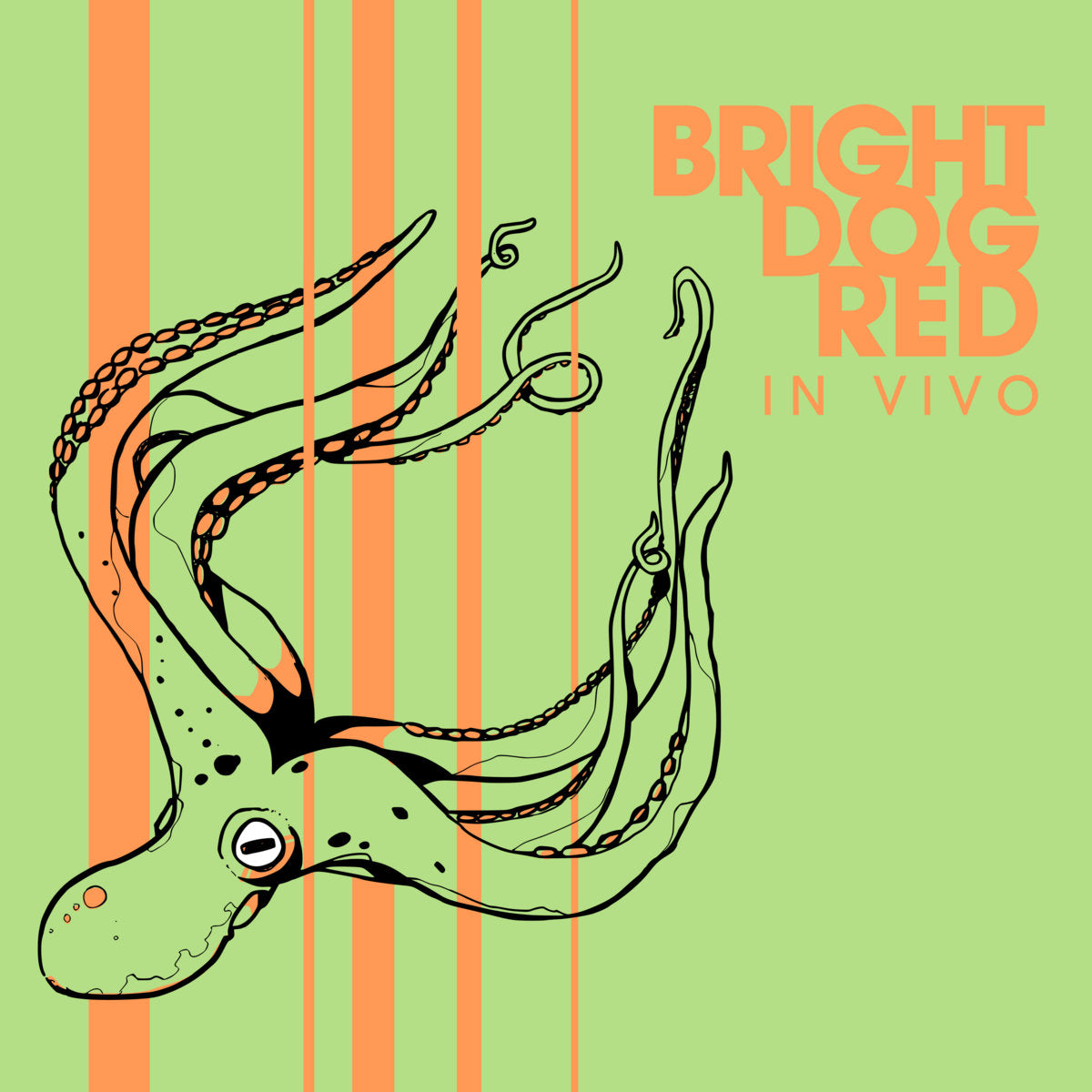Bright Dog Red | In Vivo - CD