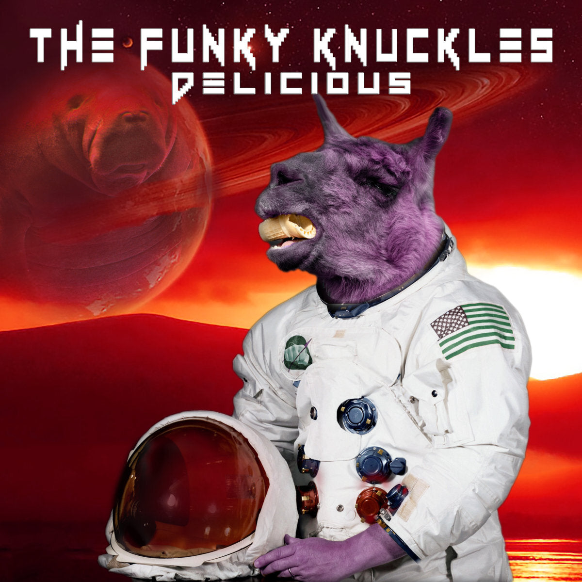 The Funky Knuckles | Delicious - CD